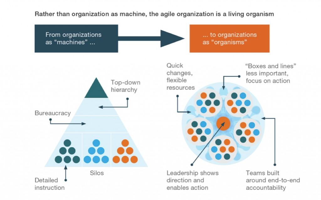 Diagram showing transformation from organisation as machine to organisation as organism